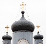 Киево-Николаевский монастырь. Церковь Покрова Пресвятой Богородицы, Купола главного объема храма<br>, Алатырь, Алатырский район и г. Алатырь, Республика Чувашия