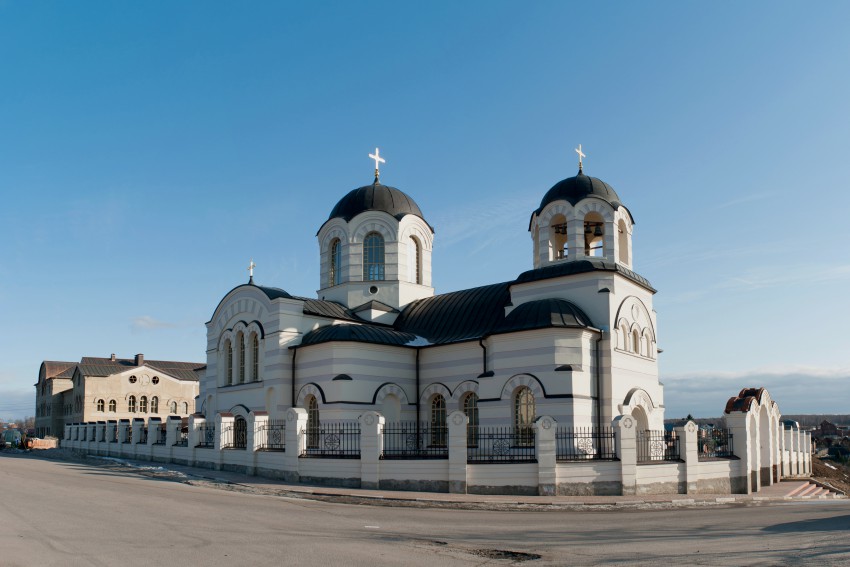 Сынково. Церковь Иоанна Богослова. общий вид в ландшафте