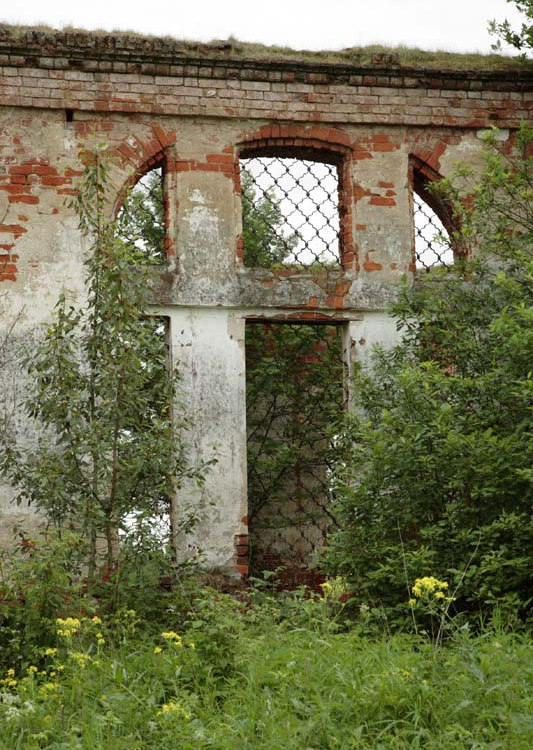 Иванково на Лиге. Церковь Казанской иконы Божией Матери. архитектурные детали