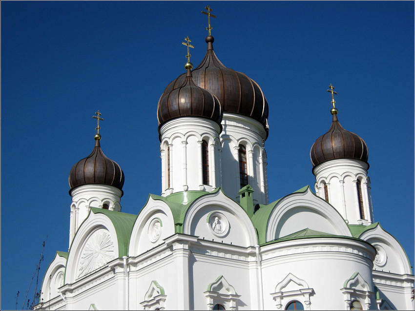 Пушкин (Царское Село). Собор Екатерины в Царском Селе (новый). архитектурные детали