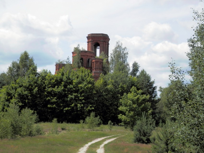 Церковь Николая Чудотворца, Ялмонть (Клепиковский район, Рязанская область). общий вид в ландшафте