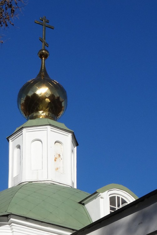 Церковь Вознесения Господня, Рязань (Рязань, город, Рязанская область). архитектурные детали, Главка храма