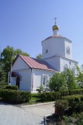 Собор Рождества Христова в Кремле, , Сызрань, Сызрань, город, Самарская область