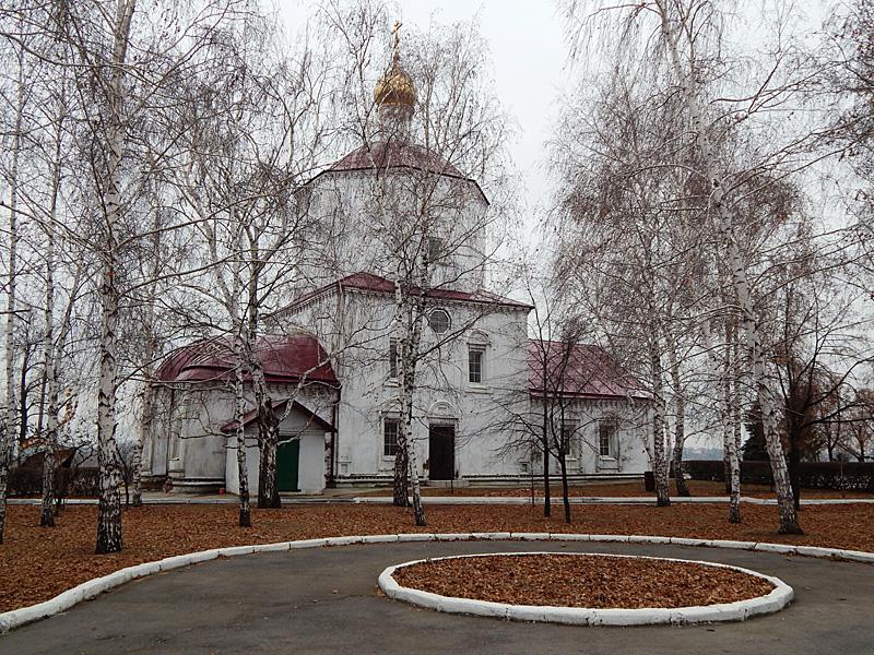 Сызрань. Собор Рождества Христова в Кремле. фасады