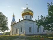 Церковь Николая Чудотворца - Мошенское - Мошенской район - Новгородская область