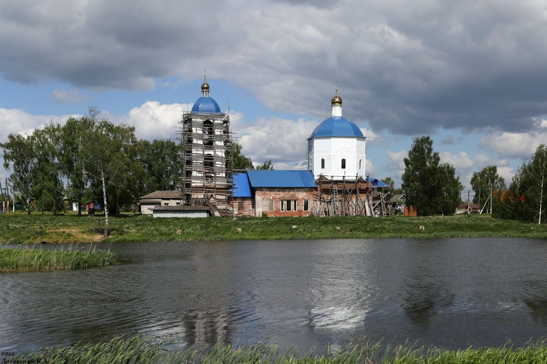 Скомово. Церковь Казанской иконы Божией Матери (Димитрия Солунского). общий вид в ландшафте, Вид с юга