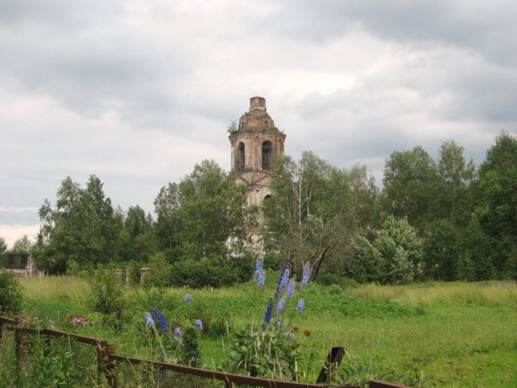 Правдино. Церковь Покрова Пресвятой Богородицы. общий вид в ландшафте