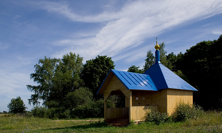 Часовня Воскресения Христова, Буреги (Старорусский район, Новгородская область). общий вид в ландшафте