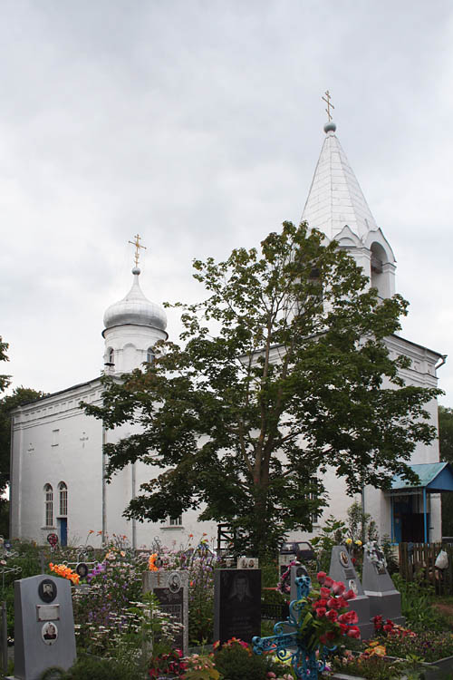 Церковь Покрова Пресвятой Богородицы, Борисово (Старорусский район, Новгородская область). общий вид в ландшафте, Вид с кладбища. Северный фасад