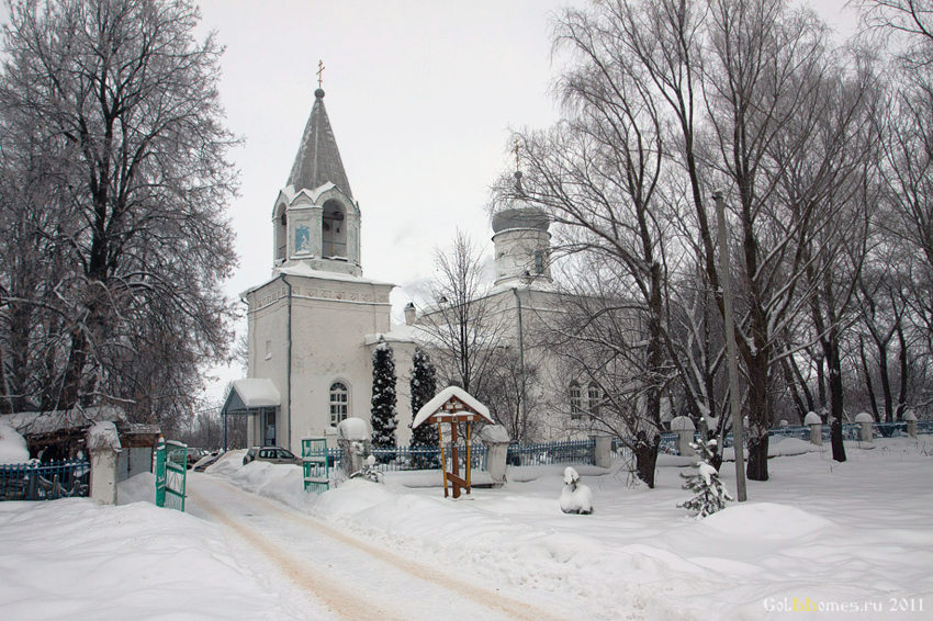 Церковь Покрова Пресвятой Богородицы, Борисово (Старорусский район, Новгородская область). общий вид в ландшафте