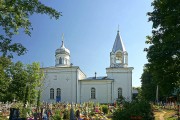 Церковь Покрова Пресвятой Богородицы, , Борисово, Старорусский район, Новгородская область
