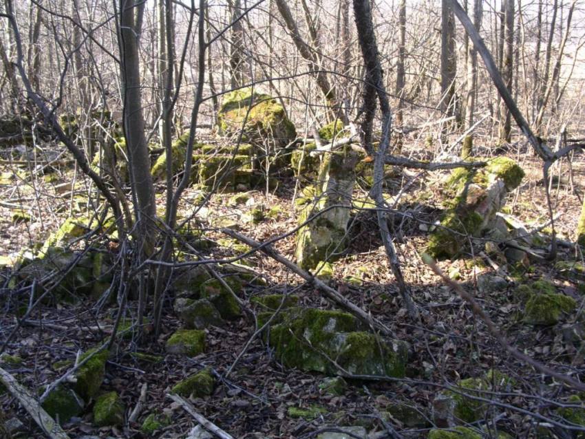 Церковь Казанской иконы Божией Матери, Таракановка (Медынский район, Калужская область). дополнительная информация, обрушенные фрагменты колокольни и развалины ограды к западу от колокольни