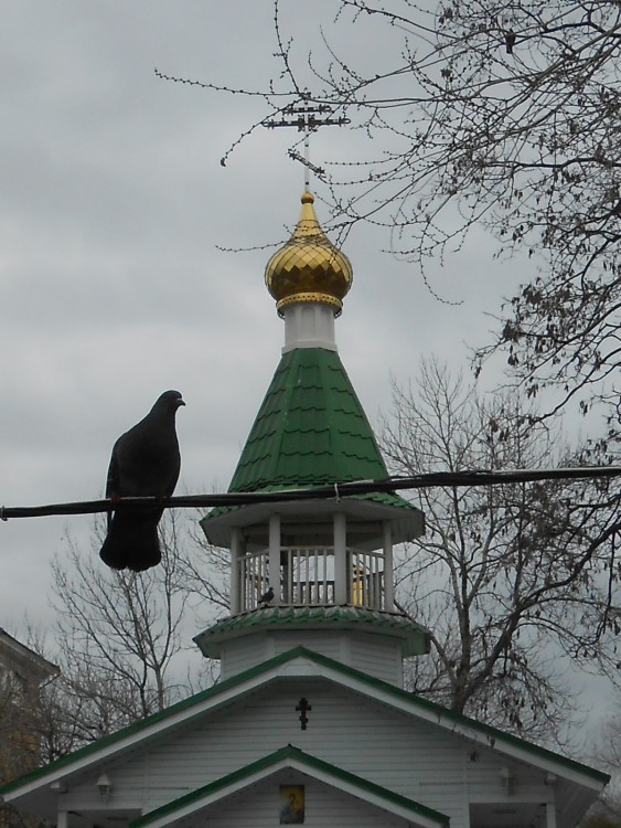 Часовня Урюпинской иконы Божией Матери, Волгоград (Волгоград, город, Волгоградская область). архитектурные детали