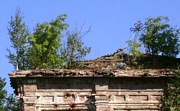Церковь Казанской иконы Божией Матери, крест (верх юго-западного угла основного объема)<br>, Шустручей (Кипрушино ), Подпорожский район, Ленинградская область