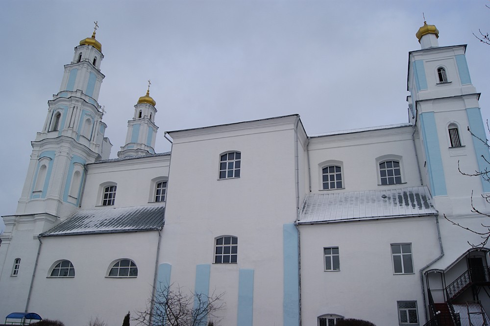 Глубокое. Кафедральный собор Рождества Пресвятой Богородицы. архитектурные детали