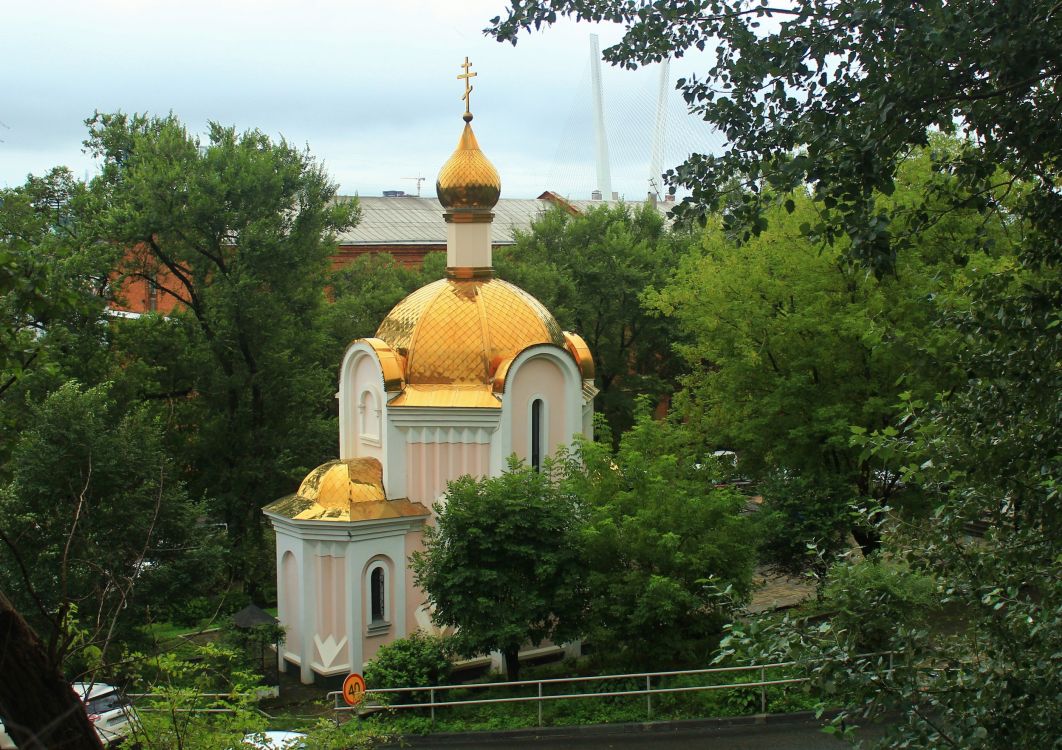 Владивосток. Церковь Татианы при ДВГТУ. общий вид в ландшафте