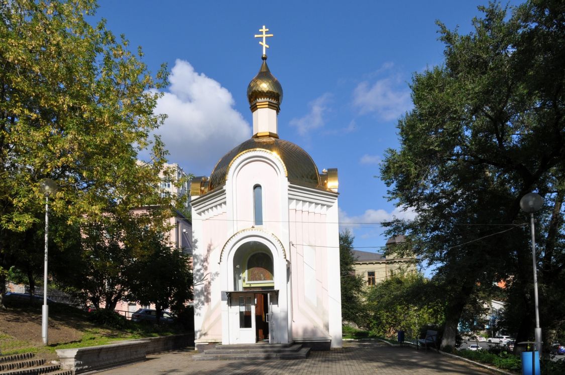 Владивосток. Церковь Татианы при ДВГТУ. общий вид в ландшафте