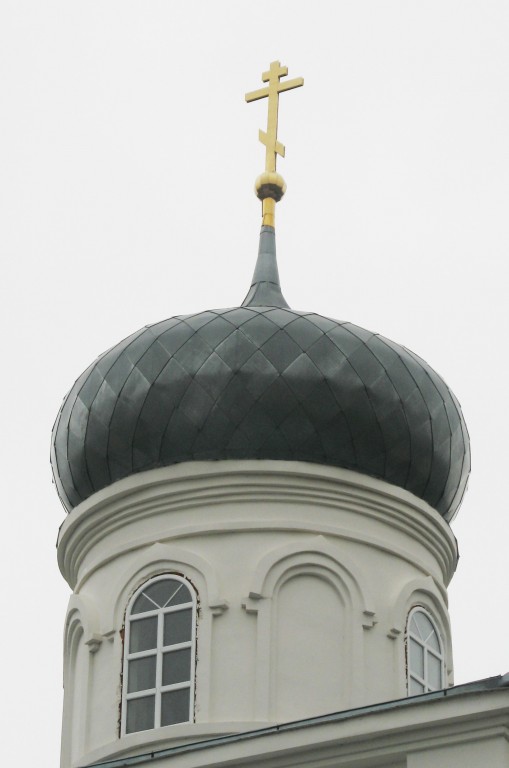 Церковь Михаила Архангела, Бутырки (Задонский район, Липецкая область). архитектурные детали, Купол главного объема храма