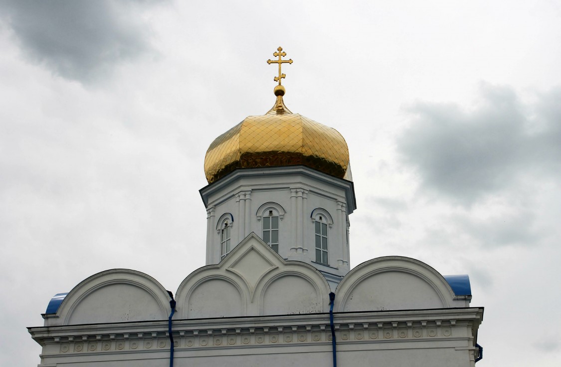 Церковь Рождества Христова, Елец (Елецкий район и г. Елец, Липецкая область). архитектурные детали, Купол