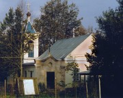 Большое Тёсово. Димитрия Солунского, домовая церковь