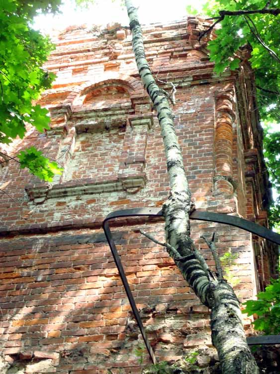 Церковь Троицы Живоначальной, Троицкое (Медынский район, Калужская область). архитектурные детали
