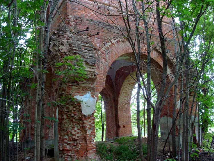 Церковь Троицы Живоначальной, Троицкое (Медынский район, Калужская область). архитектурные детали