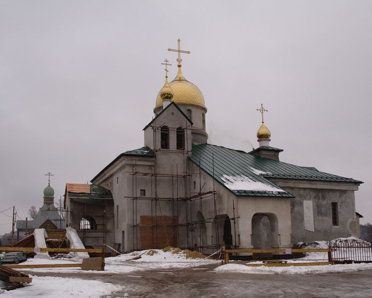 Колпино. Собор Троицы Живоначальной. общий вид в ландшафте