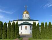 Собор Троицы Живоначальной (новый), Вид с востока<br>, Санкт-Петербург, Санкт-Петербург, Колпинский район, г. Санкт-Петербург