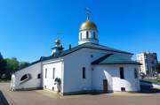 Колпино. Троицы Живоначальной (новый), собор