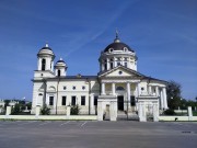 Церковь Сошествия Святого Духа, , Шкинь, Коломенский городской округ, Московская область