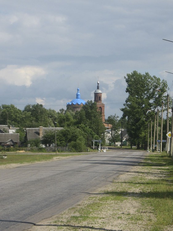 Церковь Покрова Пресвятой Богородицы, Ивот (Дятьковский район, Брянская область). общий вид в ландшафте