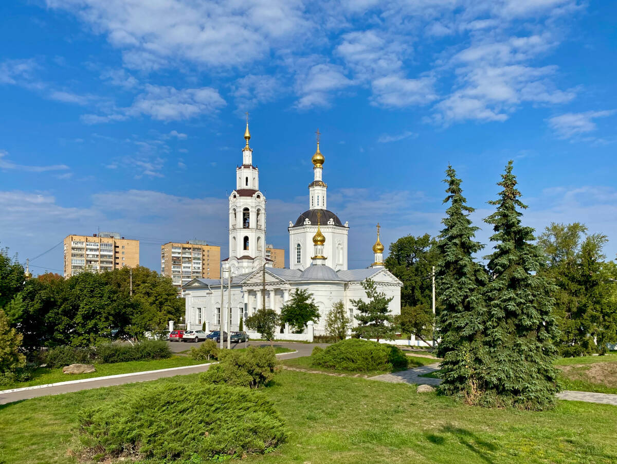 Собор Богоявления Господня, Орёл (Орёл, город, Орловская область). общий вид в ландшафте, Вид от памятника Ивану Грозному