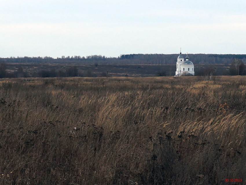 Церковь Спаса Нерукотворного Образа, Курыничи (Козельский район, Калужская область). общий вид в ландшафте