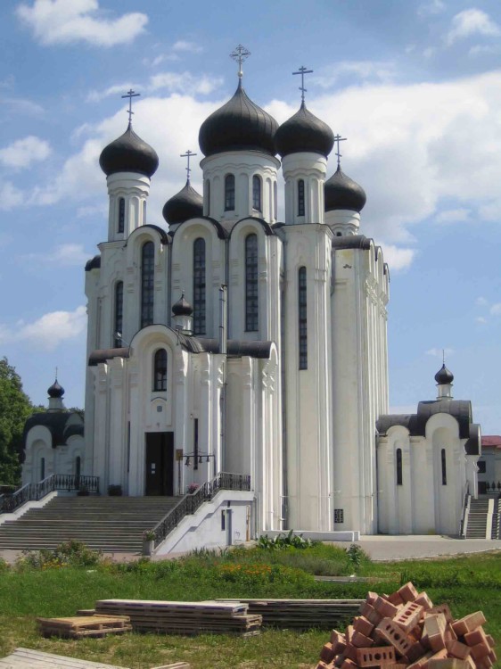 Церковь Александра Невского (новая), Барановичи (Барановичский район, Беларусь, Брестская область). фасады, Фото Николая Абросимова
