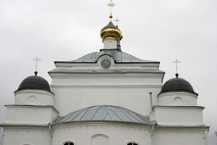 Спасо-Преображенский мужской монастырь. Собор Преображения Господня, Рославль (Рославльский район, Смоленская область). архитектурные детали
