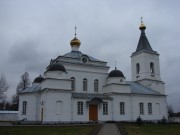 Спасо-Преображенский мужской монастырь. Собор Преображения Господня, , Рославль, Рославльский район, Смоленская область