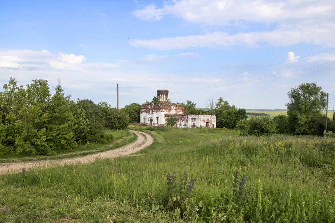 Церковь Троицы Живоначальной, Большая Пица (Дальнеконстантиновский район, Нижегородская область). общий вид в ландшафте