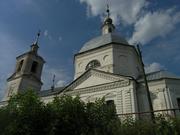 Церковь Троицы Живоначальной, Вид с южной стороны<br>, Шершово, Перевозский район, Нижегородская область