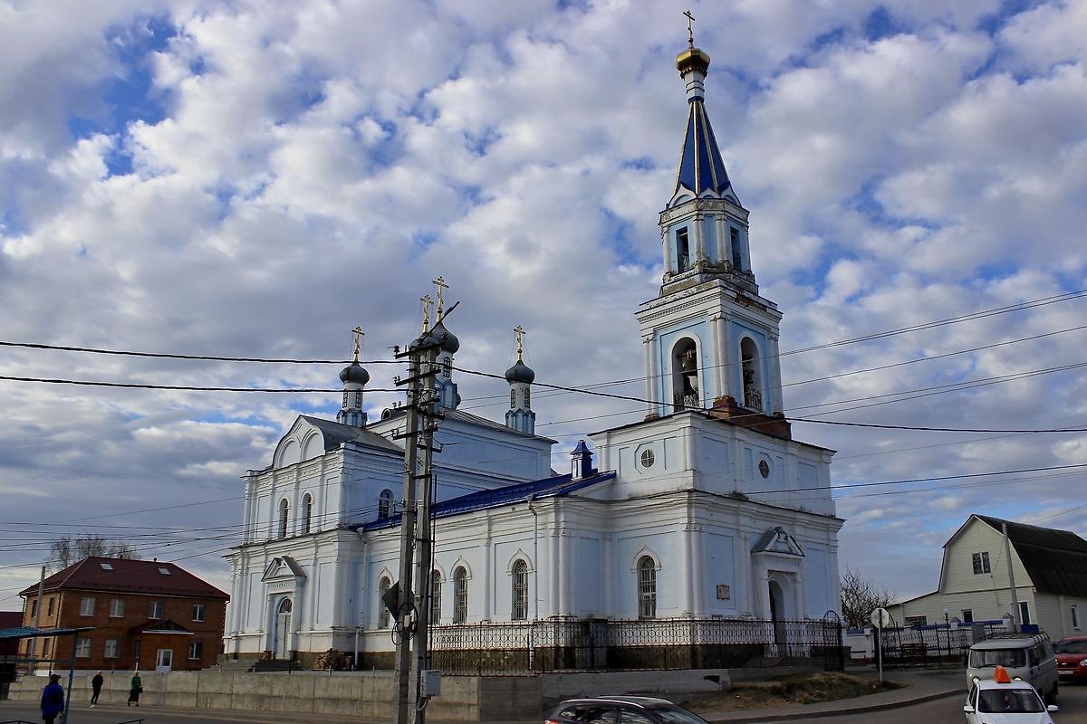 общий вид в ландшафте. Церковь Рождества Пресвятой Богородицы, Рославль (Рославльский район, Смоленская область)