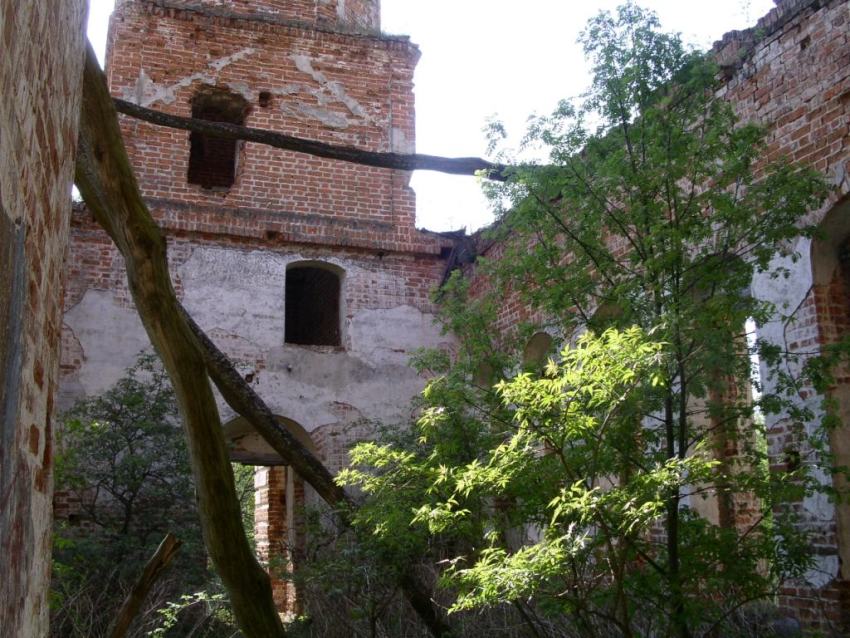 Церковь Успения Пресвятой Богородицы, Висляево (Ферзиковский район, Калужская область). интерьер и убранство, трапезная, вид с востока