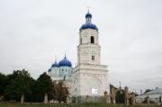 Церковь Боголюбской иконы Божией Матери, Храм Пресвятой Богородицы Боголюбской.  Зимарово, Рязанской области.<br>, Зимарово, Александро-Невский район, Рязанская область