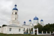 Церковь Боголюбской иконы Божией Матери, Храм Пресвятой Богородицы Боголюбской.  Зимарово, Рязанской области. <br>, Зимарово, Александро-Невский район, Рязанская область