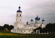 Церковь Боголюбской иконы Божией Матери - Зимарово - Александро-Невский район - Рязанская область