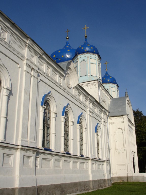 Церковь Боголюбской иконы Божией Матери, Зимарово (Александро-Невский район, Рязанская область). архитектурные детали