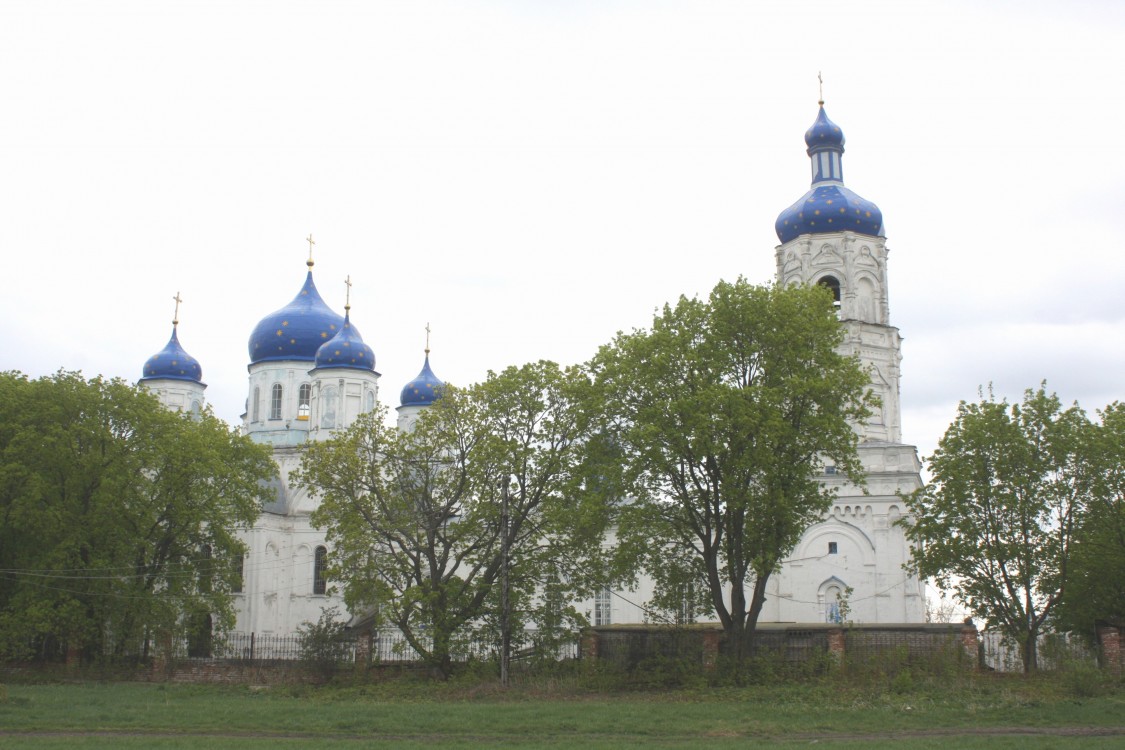 Церковь Боголюбской иконы Божией Матери, Зимарово (Александро-Невский район, Рязанская область). фасады