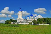 Церковь Боголюбской иконы Божией Матери - Зимарово - Александро-Невский район - Рязанская область