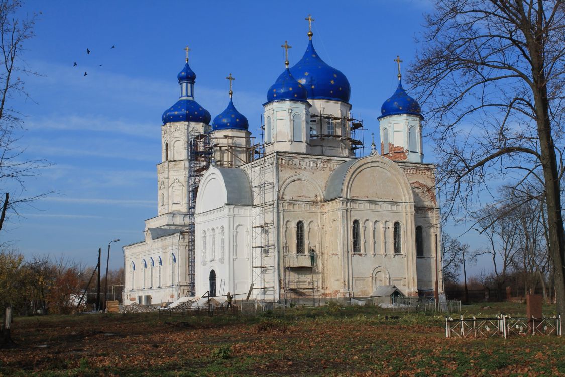 Церковь Боголюбской иконы Божией Матери, Зимарово (Александро-Невский район, Рязанская область). фасады