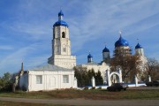 Церковь Боголюбской иконы Божией Матери - Зимарово - Александро-Невский район - Рязанская область
