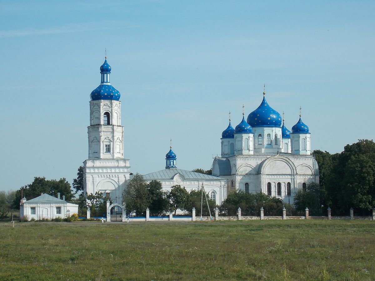 общий вид в ландшафте. Церковь Боголюбской иконы Божией Матери, Зимарово (Александро-Невский район, Рязанская область)