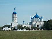 Церковь Боголюбской иконы Божией Матери, , Зимарово, Александро-Невский район, Рязанская область